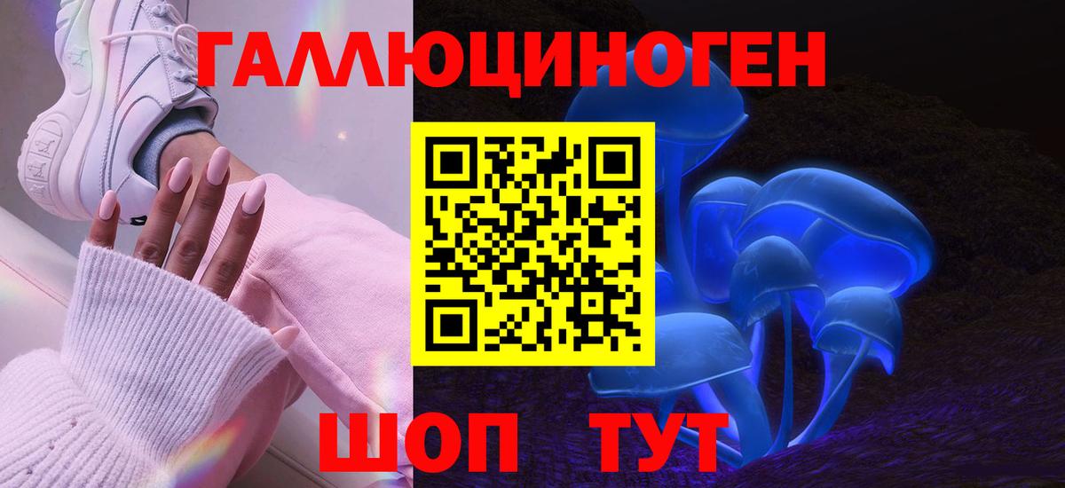 Галлюциногенные грибы MAGIC MUSHROOMS  наркошоп  Галлюциногенные грибы Psilocybine cubensis  Саяногорск  Вход с VPN 